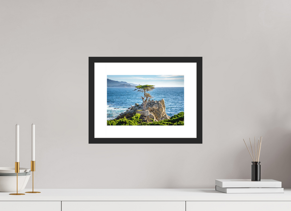 The Lone Cypress