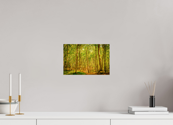 Trees in the Forest