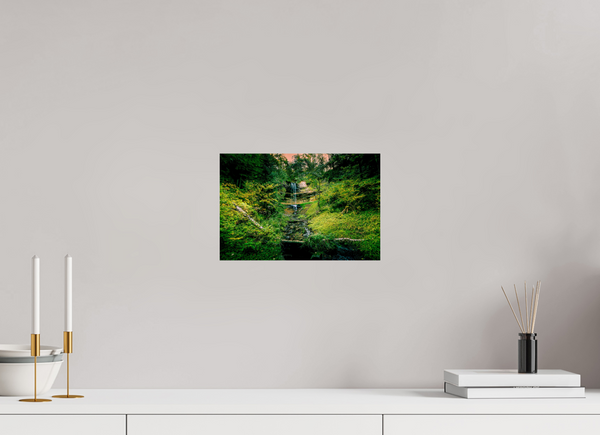 Falling through the Forest