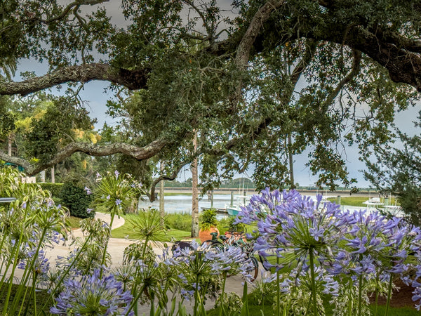 On the Road | Sea Island, Ga.