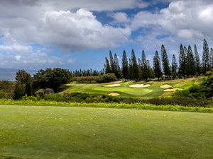 Hawaii