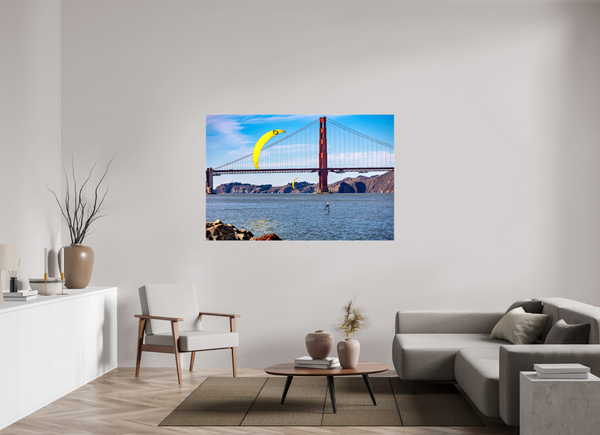 Windsurfing in the Bay