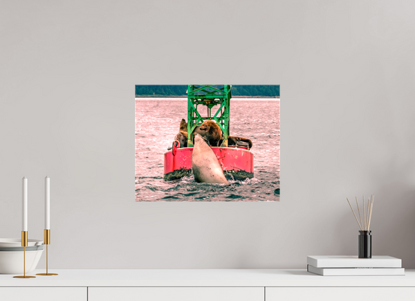 My Buoy