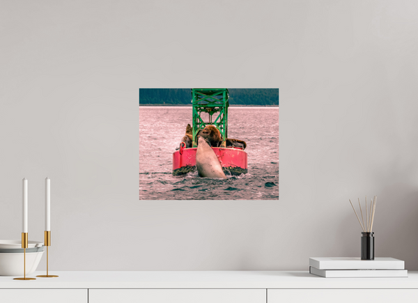 My Buoy