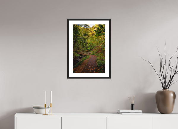 Bridge through the Forest
