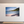 Pelicans Feeding - Large Print