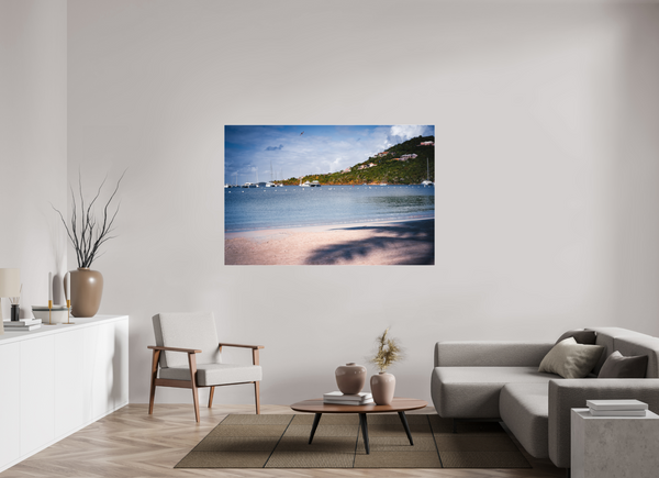 Pelicans Feeding - Large Print