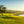 The Eighteenth at Pebble Peach - Wide-Angle Print