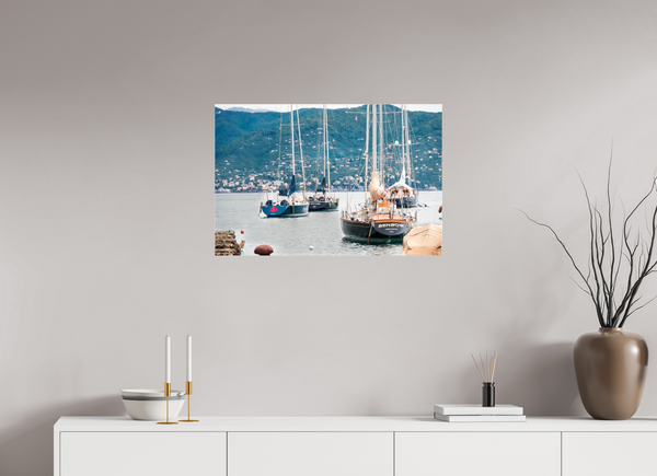 Portofino Harbor