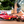 Sainz at the Hairpin