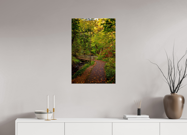 Bridge through the Forest