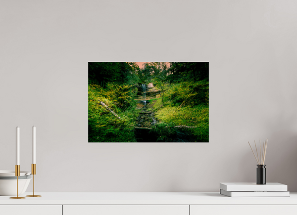 Falling through the Forest