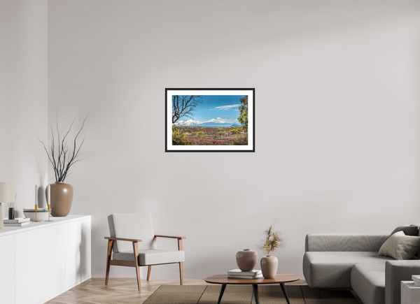 A Volcanic Landscape