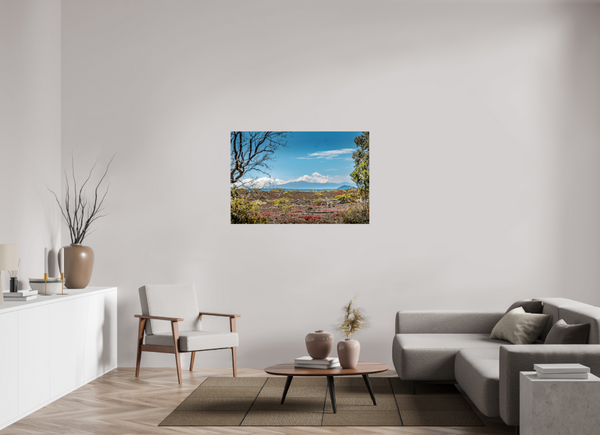 A Volcanic Landscape