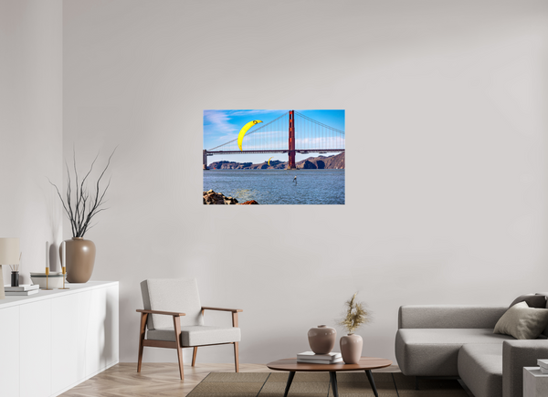 Windsurfing in the Bay