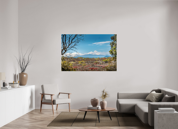 A Volcanic Landscape
