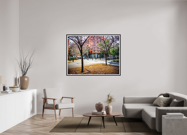 Blossoms Between the Blocks - Large Print