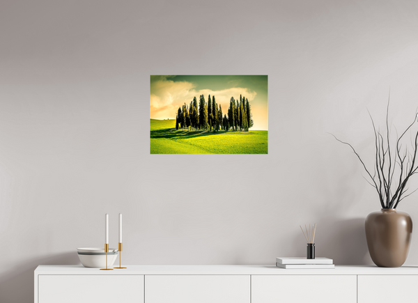 Cypress' in the Dawn