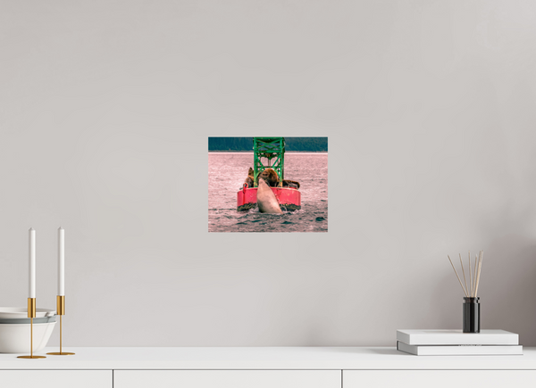 My Buoy