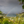 Rainbow over Great Cruz Bay