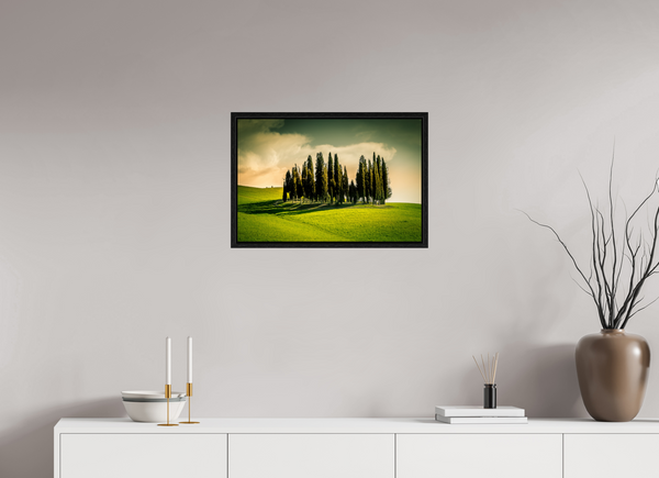 Cypress' in the Dawn