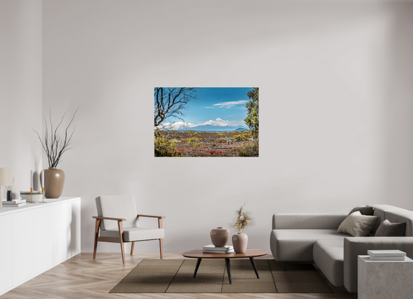 A Volcanic Landscape