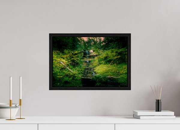 Falling through the Forest