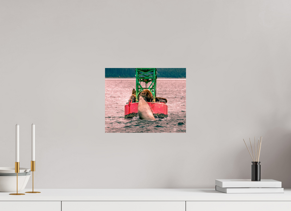 My Buoy
