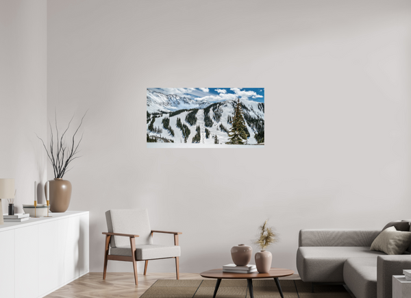 Face of A-Basin