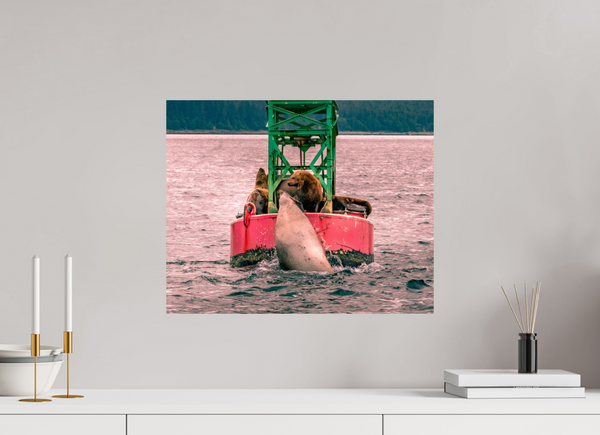 My Buoy