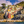 Riomaggiore from the Sea
