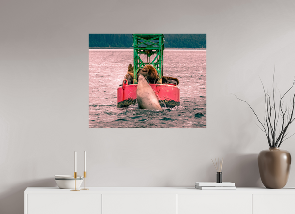 My Buoy