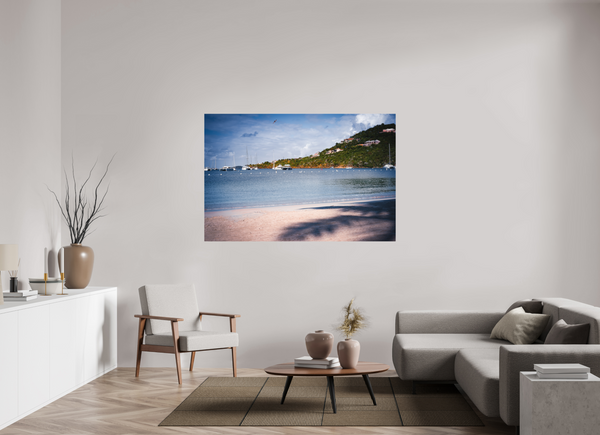 Pelicans Feeding - Large Print