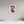 Charles LeClerc, on the Pole 2022
