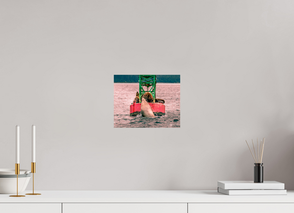 My Buoy