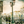 The Guard of the Lightpost