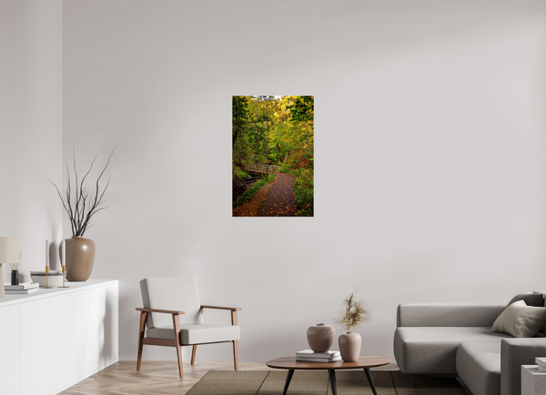 Bridge through the Forest