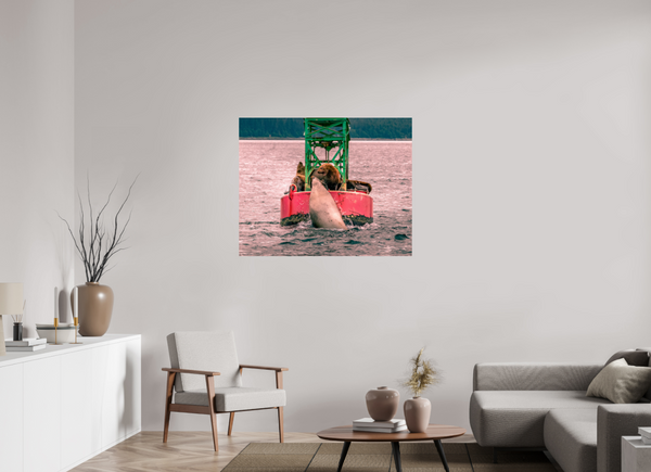 My Buoy