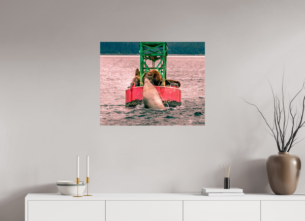 My Buoy
