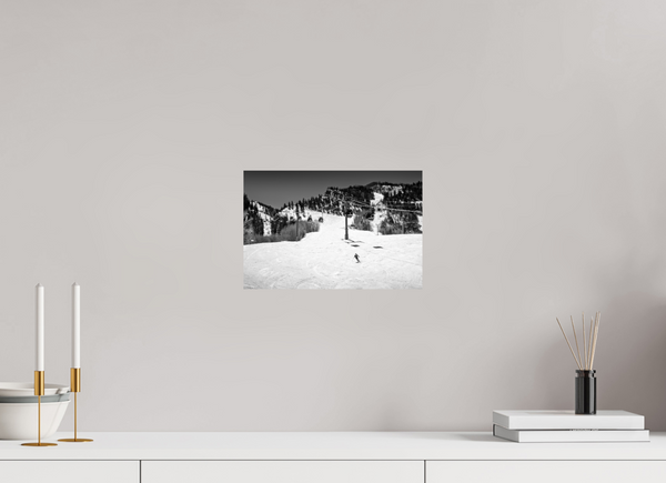 Aspen in Black and White
