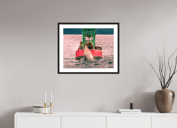 My Buoy