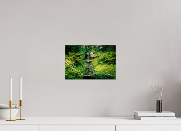 Falling through the Forest