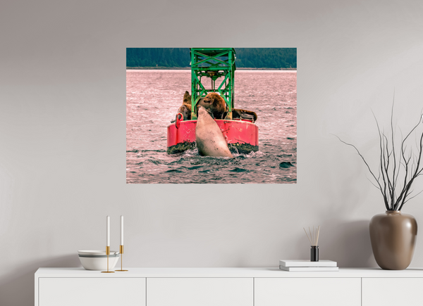 My Buoy