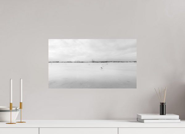 Swans on a Frozen River