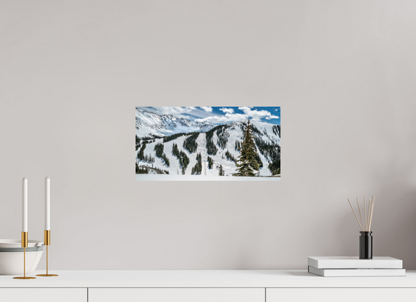 Face of A-Basin