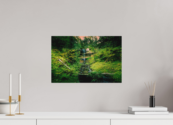 Falling through the Forest