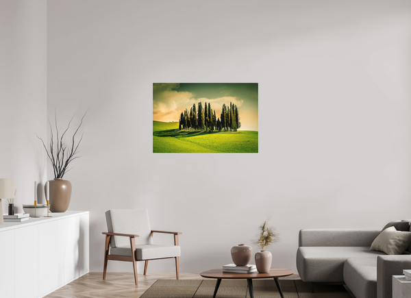 Cypress' in the Dawn