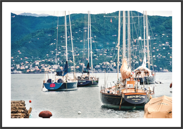 Portofino Harbor