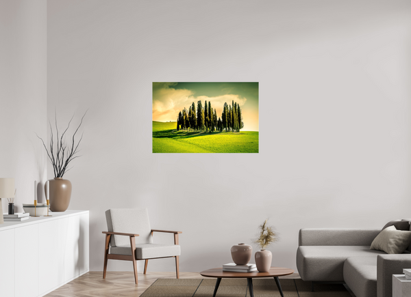 Cypress' in the Dawn