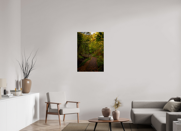 Bridge through the Forest